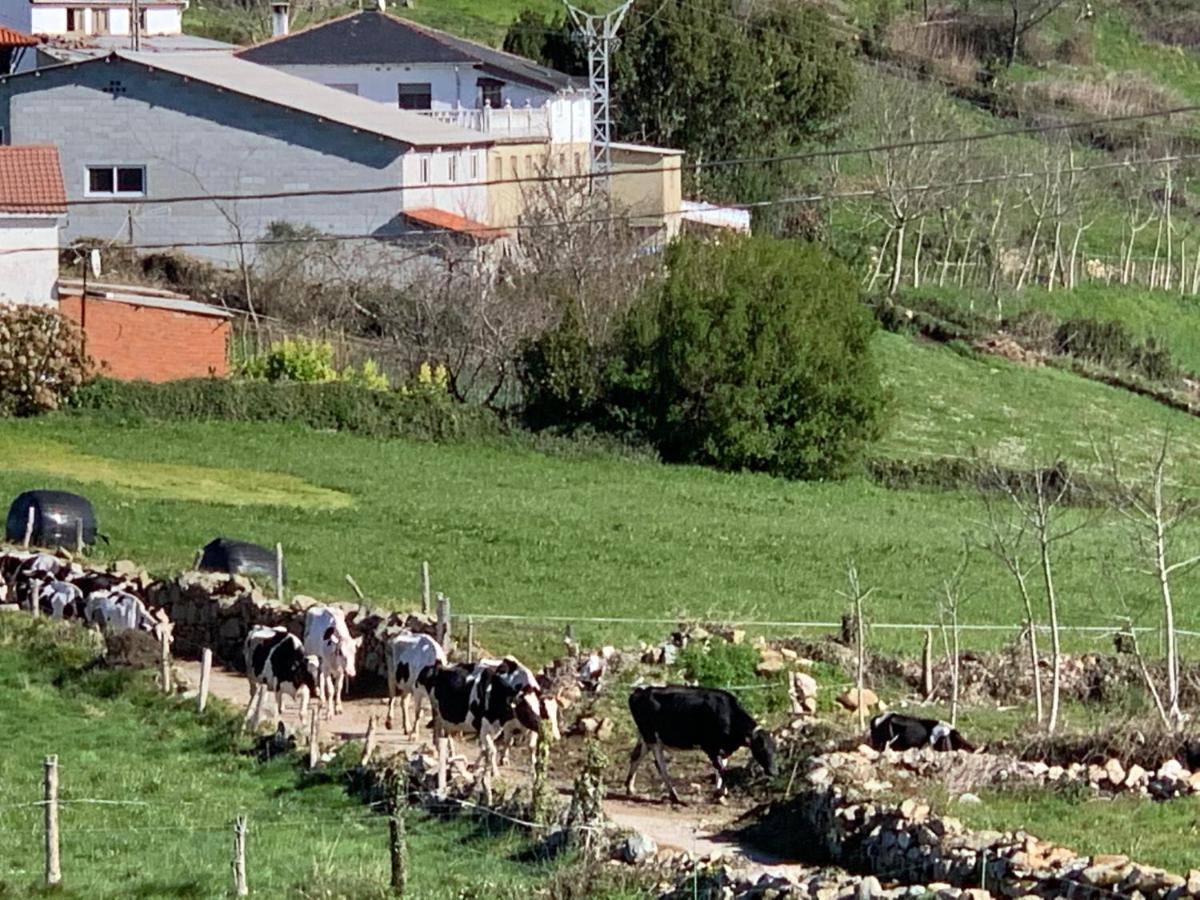 C'Genoveva Complejo Turistico Rural Caleacabo Βίλα Biescas  Εξωτερικό φωτογραφία